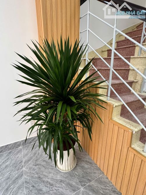💥 Bán nhà mặt tiền Phan Văn Trị, góc Nguyễn Biểu, P.2 Q.5 – 31m², 5 tầng, giá 14.5 tỷ - 4
