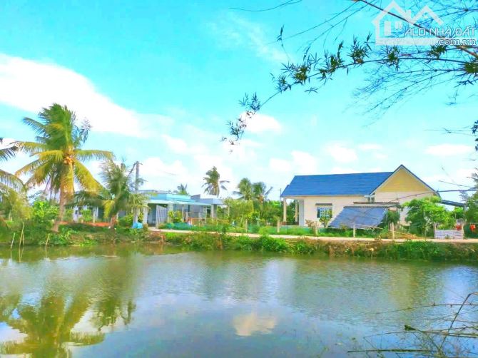 Quá Ngộp, 819m2 đất thổ cư  toàn bộ KDC Lạc Tấn chốt 1 tỷ - 4