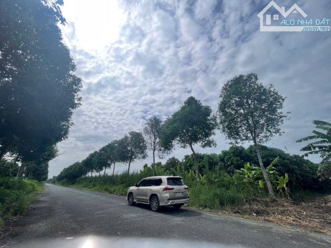 BÁN ĐẤT 2 MĂT TIỀN NGAY TRUNG TÂM THỊ TRẤN NGÃ SÁU CẦN THƠ _ CÁCH BẾN XE TTTPCT 15KM - 4