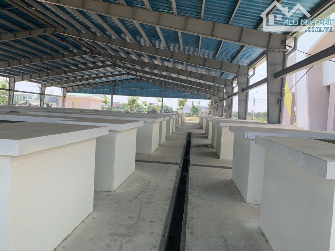 3 Lô nội bộ đối diện chợ Chiên Đàn ngay chợ phụ thuận tiện cho kinh doanh, đầu tư tốt - 4