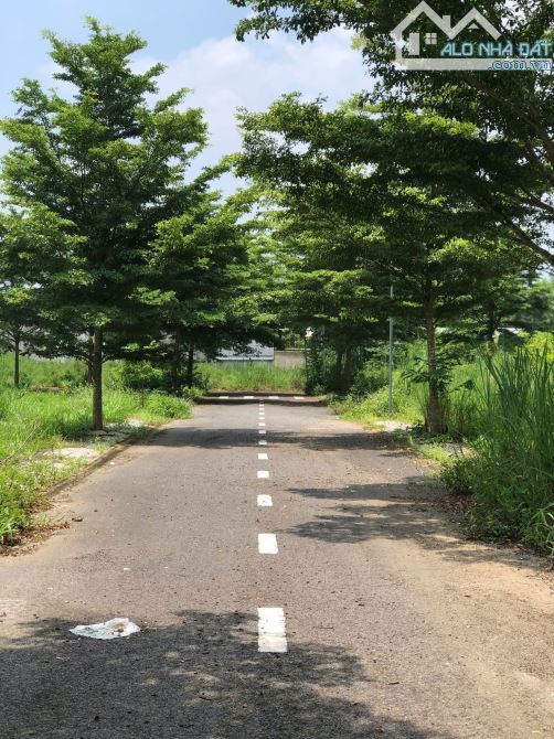 Bán gấp đất xã Trảng Bom (ấp2 sông trầu cũ) 900 triệu gần đường lớn Nguyễn Hoàng,chợ . - 4