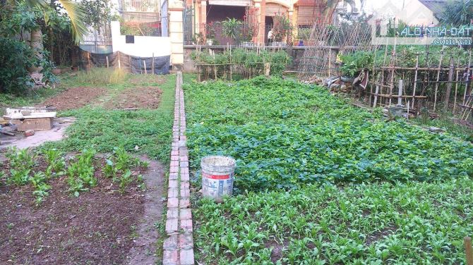 Rẻ hiếm có, Đất Ngõ 186 Ngọc THụy, Long Biên, 50m2, MT6m, Phân Lô, Ô Tô, Nhỉnh 7 Tỷ - 4