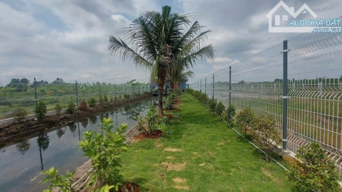 Nhà vườn 1000m2 Thủ Thừa mới xây kiên cố đường xe tải - 4