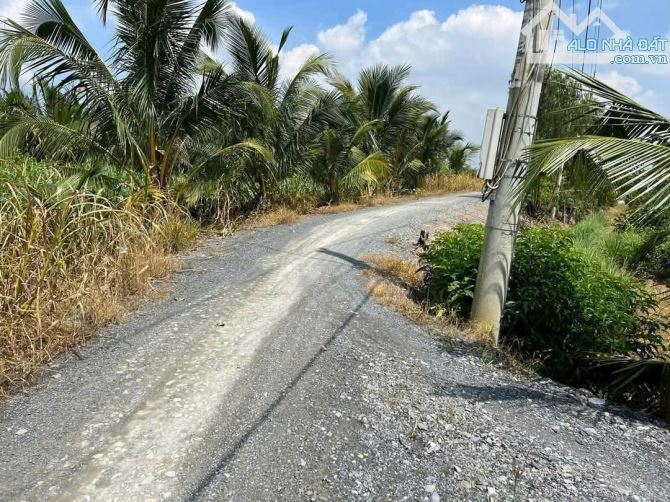 Gần 2000m2 Thổ Vườn Bến Lức Long An đường 5m đá xanh ô tô tải - 4