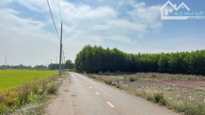 PHƯỚC LONG THỌ ĐẤT ĐÓ BRVT DT : 475m2 ( 10 x 47m ) 80m tc _ giá 1 tỷ 350tr tl DT. : 838m2 - 5