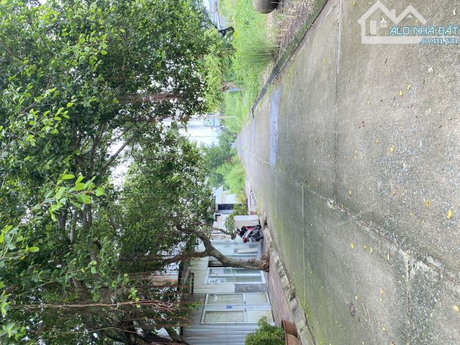 Bán đất TT Long Điền gần cổng chào Long Hải Bà Rịa,Diện tích:100m2 - Giá bán:1tỷ680triệu - 5