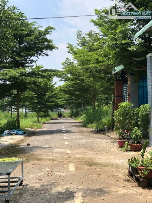 Bán gấp đất xã Trảng Bom (ấp2 sông trầu cũ) 900 triệu gần đường lớn Nguyễn Hoàng,chợ . - 5