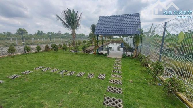 Nhà vườn 1000m2 Thủ Thừa mới xây kiên cố đường xe tải - 5