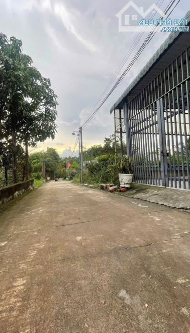 BÁN GẤP NHÀ CẤP BỐN ĐƯỜNG TÂN XUÂN 1 HÓC MÔN GIÁ CHỈ 730 TRIỆU - 6