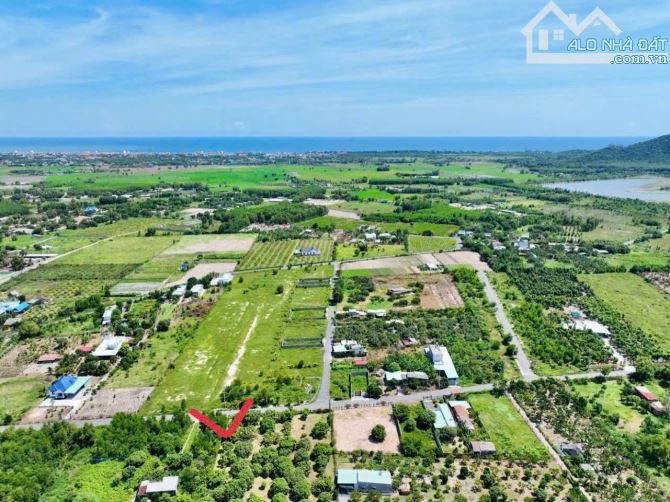 VƯỜN XOÀI THỊ TRẤN PHƯỚC HẢI- GẦN BIỂN PHƯỚC HẢI - LONG ĐẤT - BRVT 🌈DT 1000m2 -20x50m - 6
