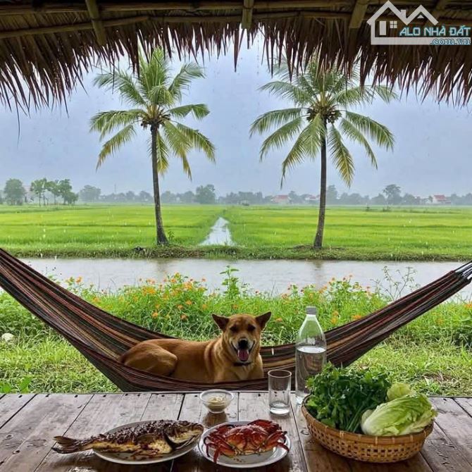 Quá Ngộp, 819m2 đất thổ cư  toàn bộ KDC Lạc Tấn chốt 1 tỷ - 6