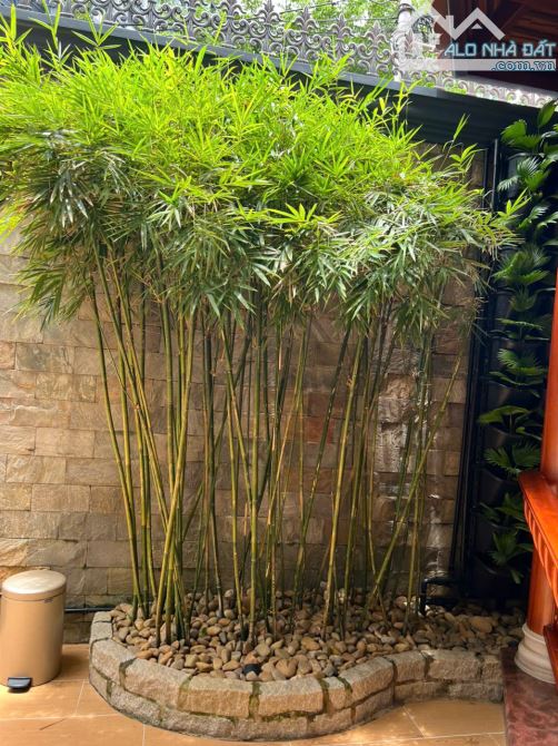 Cần bán siêu dinh thự nguyên thủ, chủ tịch, doanh nhân, tại An Phú, quận 2, giá 135 tỷ TL - 7