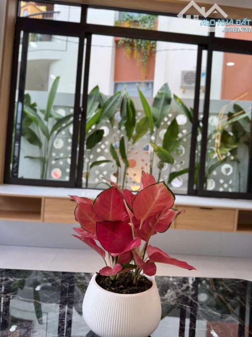 🏠🏠NHÀ 2 TẦNG 2 MẶT KIỆT 149 TRẦN PHÚ, TP HUẾ - 7