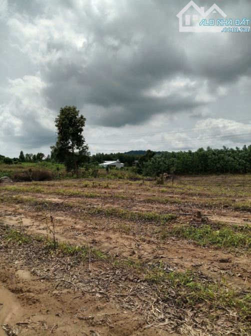 76.000 m2 View Suối ôm 1/2 đất cách 720   600m,  cách nút giao cao tốc 950m - 8