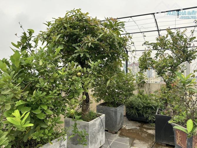 TOÀ VP MP NGUYỄN HOÀNG TÔN 10 TẦNG, CẠNH CIPUTRA - 94 TỶ - 9