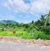 THỊ TRẤN PHƯỚC HẢI - CÁCH BIỂN 4KM - LƯNG TỰA NÚI MINH ĐẠM 🌈🌈🌈DT 1000m2  ngang 20x50m