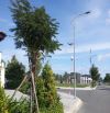 đất đẹp giá nội bộ không đâu tốt hơn,lô góc mặt tiền ,kinh doanh,đầu tư đều thuận lợi,