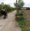 B.á.n (10x50) đất nền đẹp , ôtô kênh Trần Văn Dõng – Chợ Tân Điền, Gò Công Đông, TG cũ