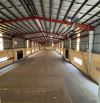Cho thuê kho 2.600m² KCN Tân Tạo, Bình Tân, PCCC đầy đủ,container 24/7