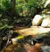 🌿 BÁN LÔ ĐẤT VIEW ĐẸP – GIÁ TỐT TẠI KIM BÔI – HÒA BÌNH 🌿