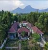 🏡 SIÊU PHẨM NGHỈ DƯỠNG - VILLA NANA GARDEN GẦN THÁP MỸ SƠN – CƠ HỘI ĐẦU TƯ SINH LỜI CAO!