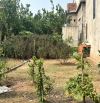 BÁN ĐẤT MỄ SỞ - VĂN GIANG - 52M -Ô TÔ NGÕ THÔNG GẦN DỰ ÁN XUÂN CẦU  VÀ VÀNH ĐAI 4