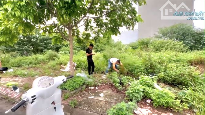-Lô góc mặt đường đôi 30m TĐC Cây Đa 13 gốc  đường Bạch Thái Bưởi Lê Hồng Phong văn cao