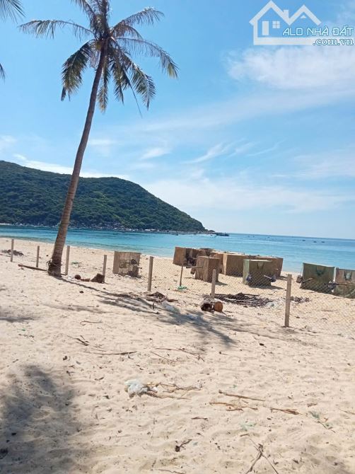 Cần bán đất biển Từ Nham - Sông Cầu - Phú Yên - 1