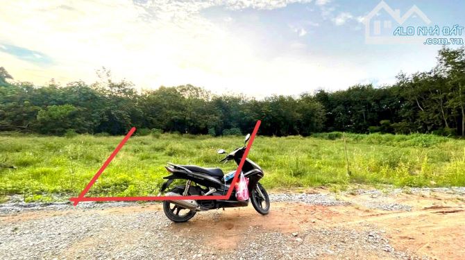 Đất Hiếm – P. Hiệp An  5 x 49m = 239,9m²   Thổ cư: 61,9m²