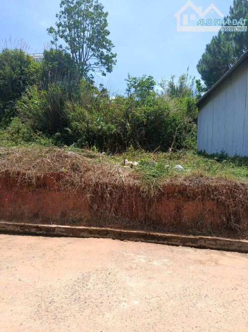 BÁN ĐẤT Ở BIỆT LẬP - LẠC DƯƠNG - GIÁ 2 TỶ 6