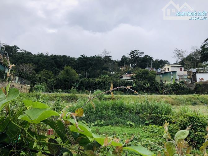 ĐẨT XÂY VILLA CÓ VIEW ĐƯỜNG TRẦN THÁI TÔNG P10 248M2 NGANG 12M CÁCH HỒ 2,4KM GIÁ 8.5 TỶ