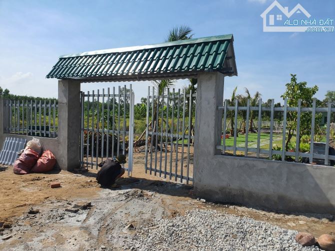 Bỏ phố về vườn, 455,4m2, SHR, Phước Thạnh, Giá 1 tỷ 250.