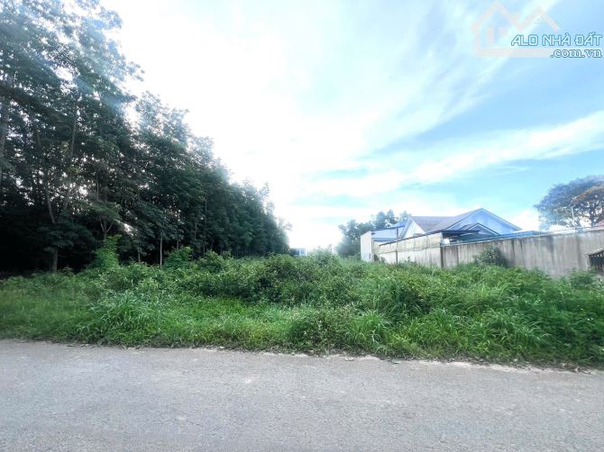 ĐẤT 2 MẶT TIỀN – ĐỊNH HÒA  Diện tích: 7,98 x 99m = gần 790m²