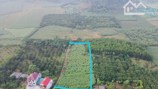 Cần bán 2000m đất ở 130m, Tú sơn, Kim Bôi Hòa Bình.