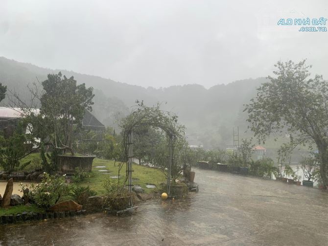 Bán trang trại 40000m2 tại trạm thu phí Định An, Đức Trọng, Lâm Đồng. Thích hợp đầu tư lâu