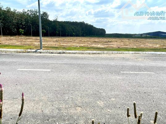 Bán Lô Đất ĐẸP 117m2, Gần UBND Xã An Viễn, Trảng Bom, Đồng Nai