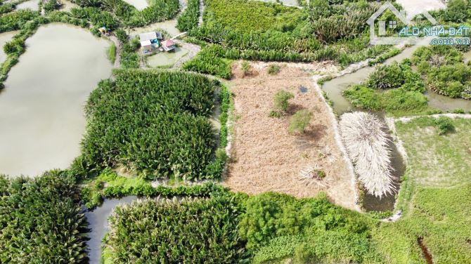 13 tỷ/1ha ĐẤT VƯỜN HIỆP PHƯỚC NHÀ BÈ