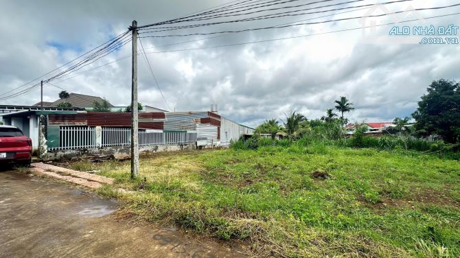 ĐẤT THỔ CƯ HOÀ PHÚ - BMT - ĐAKLAK 8x16m 739Triệu