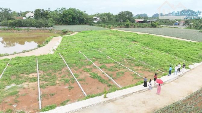 ĐẤT NỀN TRUNG TÂM NGỌC LẶC – THANH HÓA CHỈ 200TR SỔ RIÊNG - 1