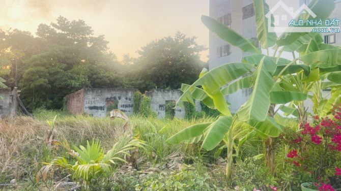 Bán lô đất đầu tư sinh lời 106m² full thổ,Q12 Thạnh Xuân 25,gần UBND TX cũ,giá 4.8 tỷ.