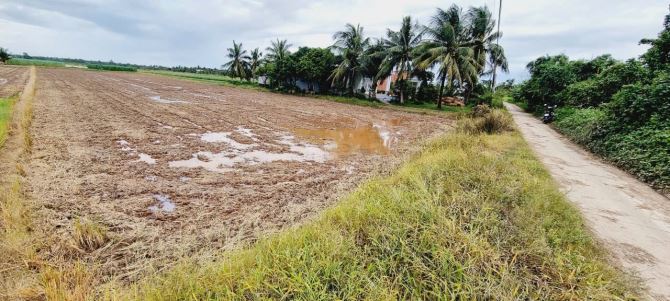 🌾 Cần bán hơn 4000m đất thuộc phường Hòa Thuận  ( đoạn gần chợ Hòa Thuận )  👍 Lộ đanl xe