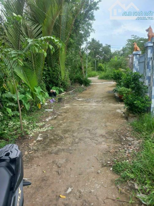 Cần bán nền thuộc KV4, Phường 3, TP.Vị Thanh, HG (cũ). Nay là phường Vị Thanh, TPCT. Bệnh