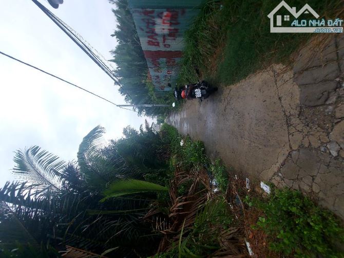 Bán đất hẻm 2020 Huỳnh Tấn Phát, TT. Nhà Bè Nhà Bè. 491m2