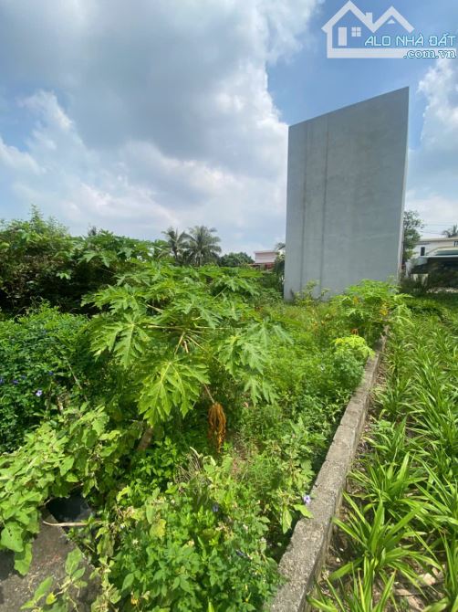 Bán đất đấu giá Đẩu Vũ, Kiến An, Hải Phòng