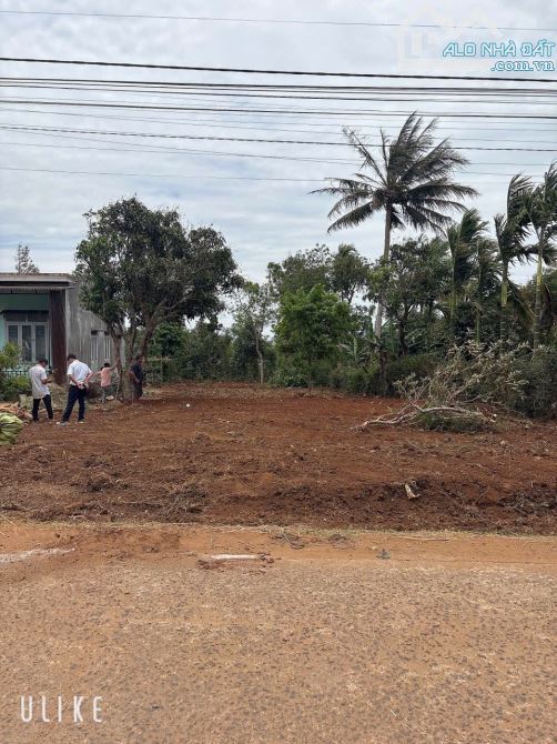 ĐẤT CUOR ĐĂNG RẺ PHẢI TRỤC CHÍNH THÔNG QUA QL 26  GẦN ĐƯỜNG TRÁNH ĐÔNG BMT