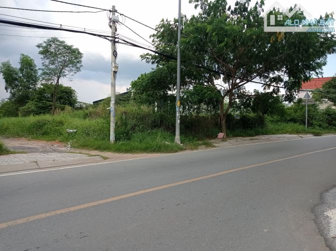 Bán 1100m2 Đất vườn MT Đường Gò Me - Có sẵn nhà chòi ao cá - 2
