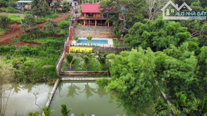 Homestay view hồ bơi hồ cá siêu đẹp ngay chợ Đầu Mối 1,1 sào TC100 chỉ 4,2 tỷ