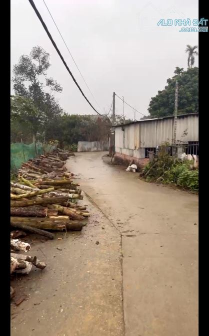 Dưới 3,5 tỷ có ngay lô đất dt 225m2, cách đường trục chính Yên Bình 50m, gần trường c1,2,3