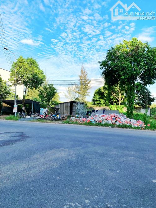 Nền đường Trần Minh Sơn khu TĐC Đại học Y Dược Cần Thơ