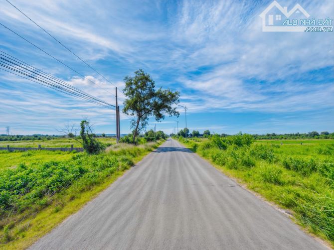 Bán Gấp Lô Đất Vàng 237m² Mặt Tiền 19m Sổ Hồng Riêng Gần Biển Lagi